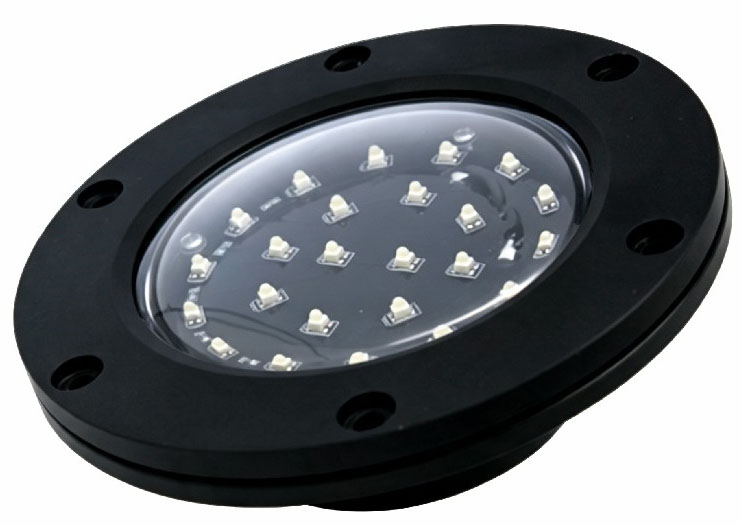 Tail Lamp